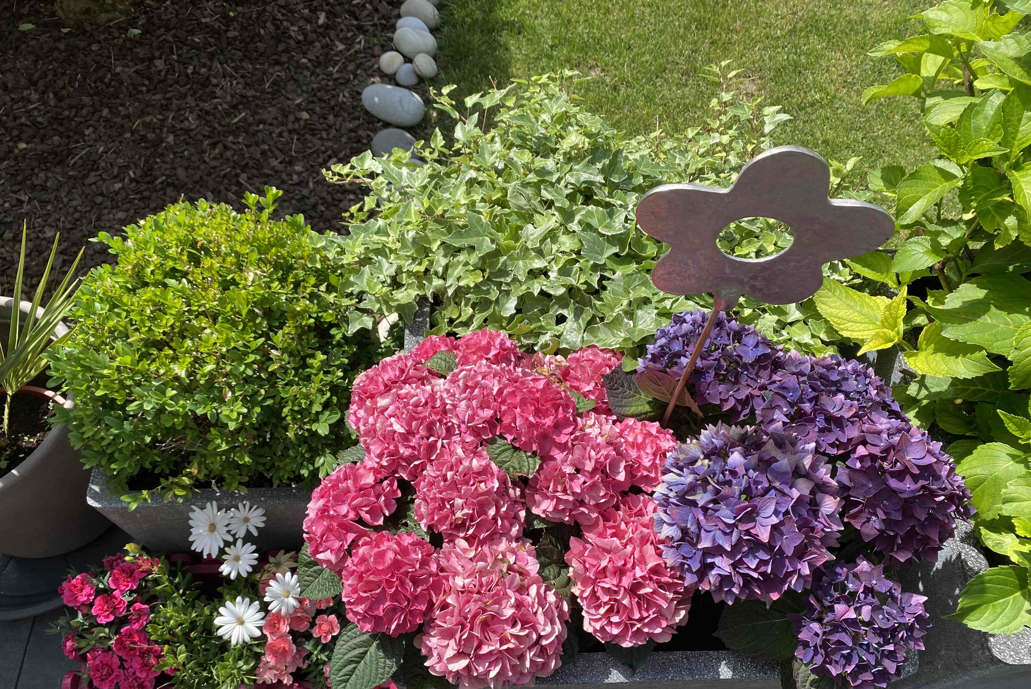 Naturheilpraxis Sandra Moosmann in Ostfildern - Ganzheitliche Therapien für Körper, Geist und Seele