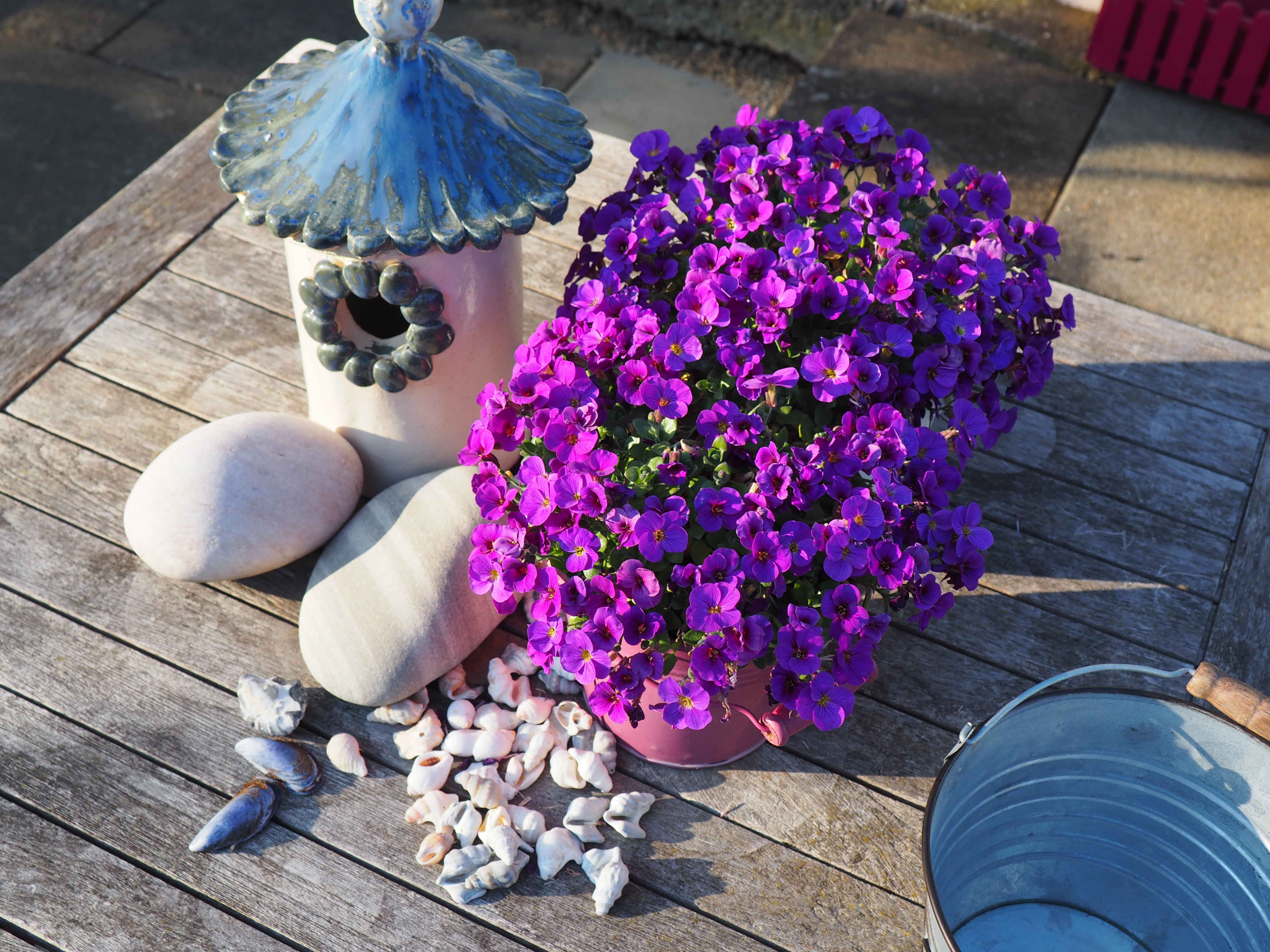 Leistungen der Naturheilpraxis Sandra Moosmann - Homöopathie, Naturheilkunde und ganzheitliche Therapien